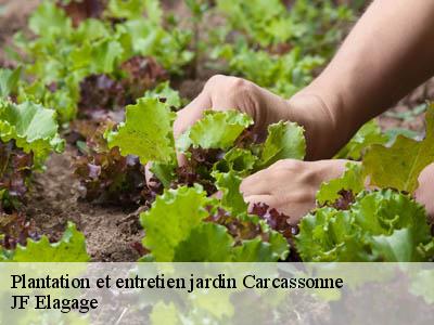 Plantation et entretien jardin  carcassonne-11000 JF Elagage