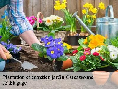 Plantation et entretien jardin  carcassonne-11000 JF Elagage