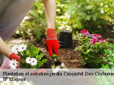 Plantation et entretien jardin  cascastel-des-corbieres-11360 JF Elagage