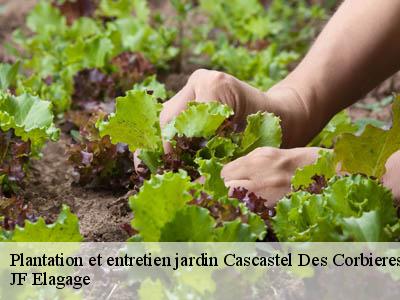 Plantation et entretien jardin  cascastel-des-corbieres-11360 JF Elagage