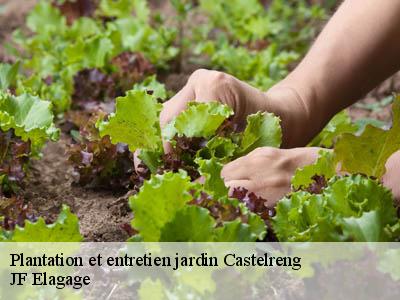 Plantation et entretien jardin  castelreng-11300 JF Elagage