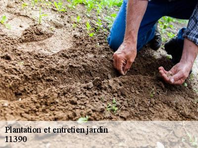 Plantation et entretien jardin  caudebronde-11390 JF Elagage