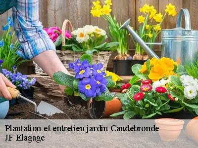 Plantation et entretien jardin  caudebronde-11390 JF Elagage