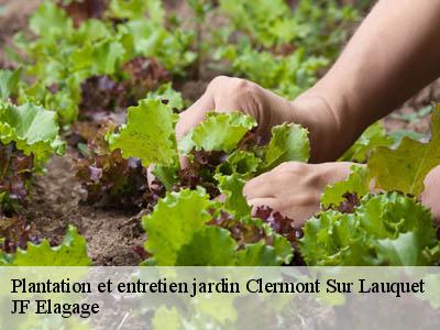 Plantation et entretien jardin  clermont-sur-lauquet-11250 JF Elagage