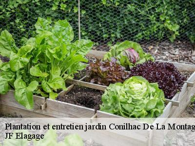 Plantation et entretien jardin  conilhac-de-la-montagne-11190 JF Elagage