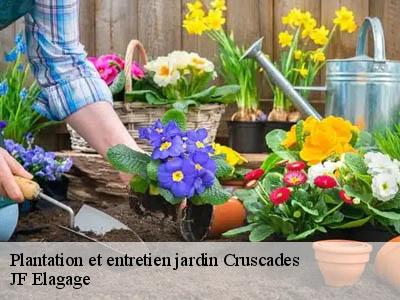 Plantation et entretien jardin  cruscades-11200 JF Elagage
