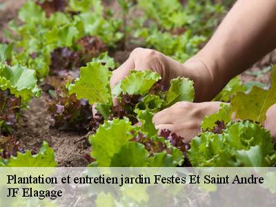 Plantation et entretien jardin  festes-et-saint-andre-11300 JF Elagage