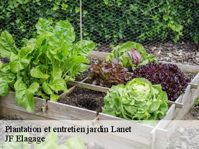 Plantation et entretien jardin  lanet-11330 JF Elagage