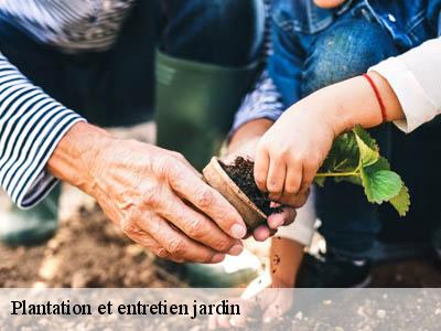 Plantation et entretien jardin  magrie-11300 JF Elagage