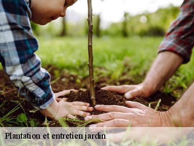 Plantation et entretien jardin marquein-11410 JF Elagage