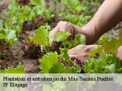 Plantation et entretien jardin  mas-saintes-puelles-11400 JF Elagage