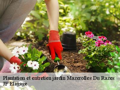 Plantation et entretien jardin  mazerolles-du-razes-11240 JF Elagage