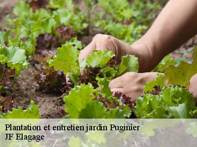 Plantation et entretien jardin  puginier-11400 JF Elagage