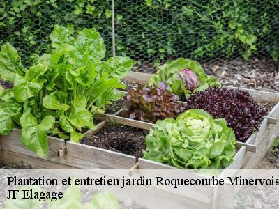 Plantation et entretien jardin  roquecourbe-minervois-11700 JF Elagage