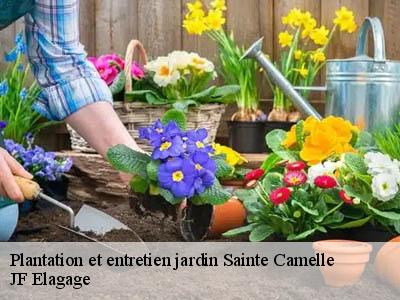Plantation et entretien jardin  sainte-camelle-11410 JF Elagage