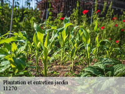Plantation et entretien jardin  saint-gauderic-11270 JF Elagage