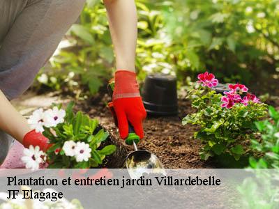 Plantation et entretien jardin  villardebelle-11580 JF Elagage