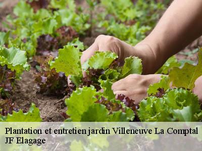 Plantation et entretien jardin  villeneuve-la-comptal-11400 JF Elagage