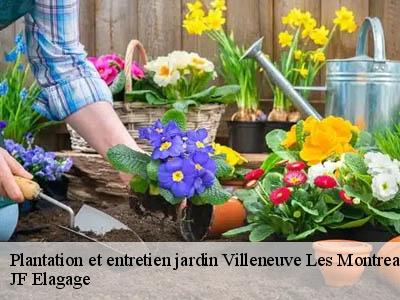 Plantation et entretien jardin  villeneuve-les-montreal-11290 JF Elagage