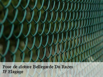 Pose de cloture  bellegarde-du-razes-11240 Jardin Paysage