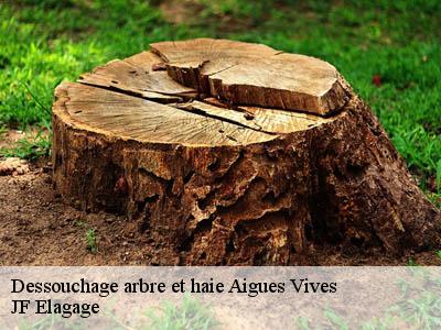 Dessouchage arbre et haie  aigues-vives-11800 JF Elagage