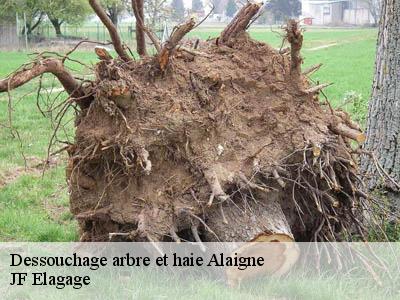 Dessouchage arbre et haie  alaigne-11240 JF Elagage