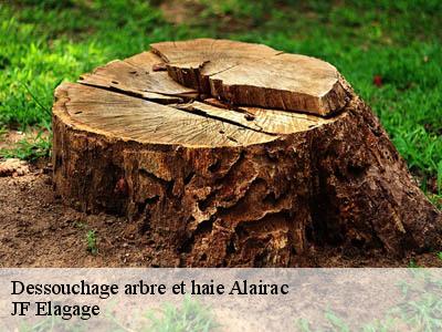 Dessouchage arbre et haie  alairac-11290 JF Elagage