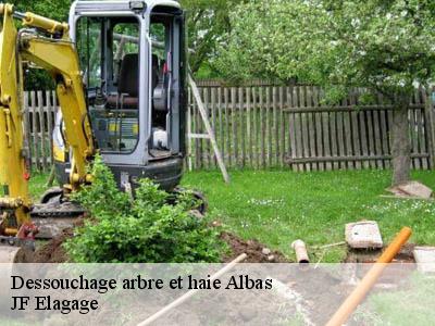 Dessouchage arbre et haie  albas-11360 JF Elagage