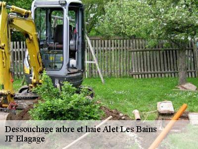 Dessouchage arbre et haie  alet-les-bains-11580 JF Elagage