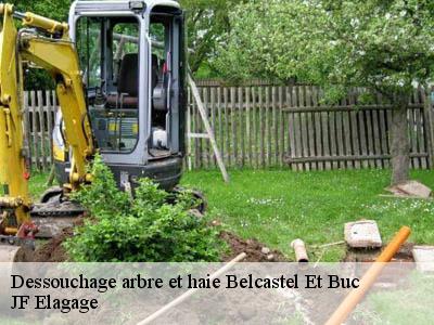 Dessouchage arbre et haie  belcastel-et-buc-11580 JF Elagage