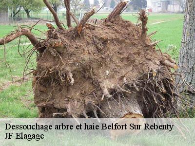 Dessouchage arbre et haie  belfort-sur-rebenty-11140 JF Elagage