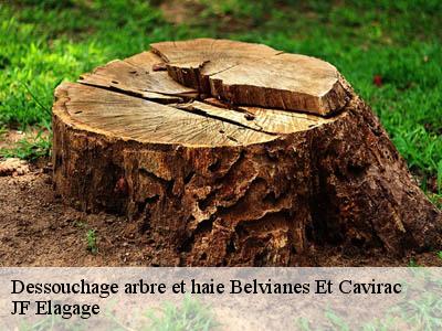 Dessouchage arbre et haie  belvianes-et-cavirac-11500 DEBORD Elagage 11