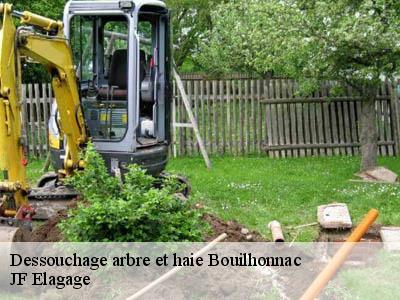 Dessouchage arbre et haie bouilhonnac-11800 JF Elagage