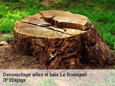 Dessouchage arbre et haie  le-bousquet-11140 JF Elagage