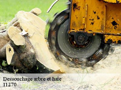 Dessouchage arbre et haie  brezilhac-11270 JF Elagage