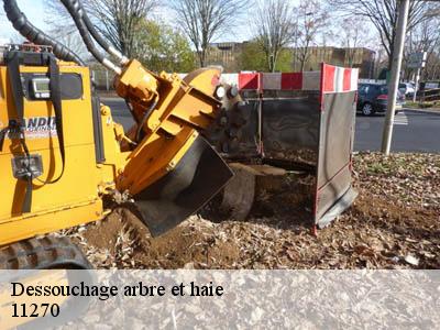 Dessouchage arbre et haie  brezilhac-11270 JF Elagage