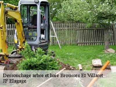 Dessouchage arbre et haie  brousses-et-villaret-11390 JF Elagage