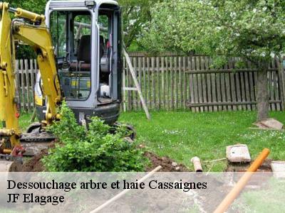 Dessouchage arbre et haie  cassaignes-11190 JF Elagage