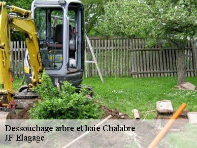 Dessouchage arbre et haie  chalabre-11230 JF Elagage