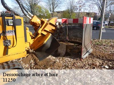 Dessouchage arbre et haie  clermont-sur-lauquet-11250 JF Elagage