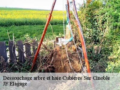 Dessouchage arbre et haie  cubieres-sur-cinoble-11190 JF Elagage