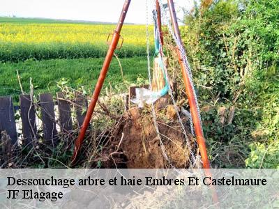 Dessouchage arbre et haie  embres-et-castelmaure-11360 JF Elagage