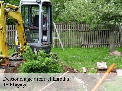 Dessouchage arbre et haie  fa-11260 JF Elagage