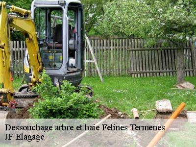 Dessouchage arbre et haie  felines-termenes-11330 JF Elagage