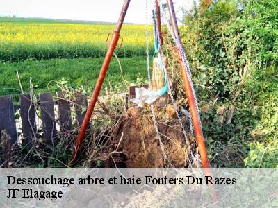 Dessouchage arbre et haie  fonters-du-razes-11400 JF Elagage