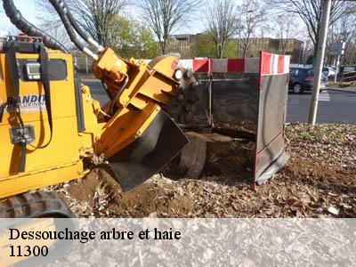Dessouchage arbre et haie  gaja-et-villedieu-11300 JF Elagage