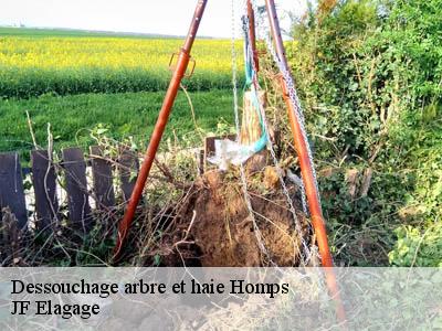 Dessouchage arbre et haie  homps-11200 Jardin Paysage