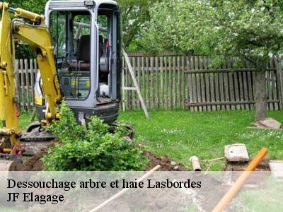 Dessouchage arbre et haie  lasbordes-11400 JF Elagage