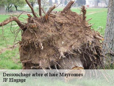Dessouchage arbre et haie  mayronnes-11220 JF Elagage