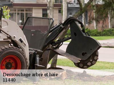 Dessouchage arbre et haie  peyriac-de-mer-11440 Jardin Paysage
